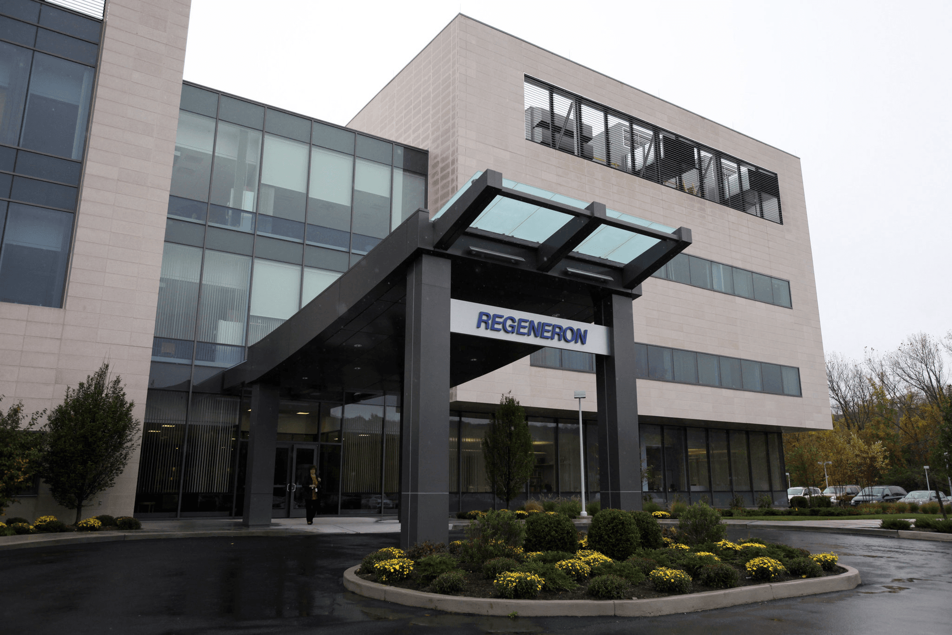 CHMP Backs Odronextamab For EU Approval In Treating Tough Lymphoma Cases