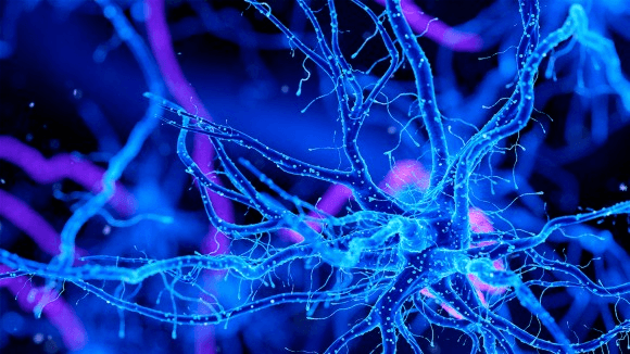 Milestone Reached In Neuroscience Collaboration Between Evotec And Bristol Myers Squibb