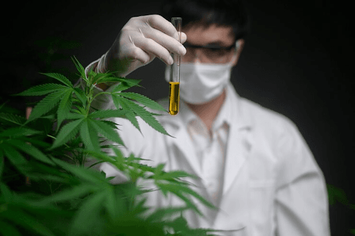 The U.S. shares a proposal to lessen restrictions on marijuana