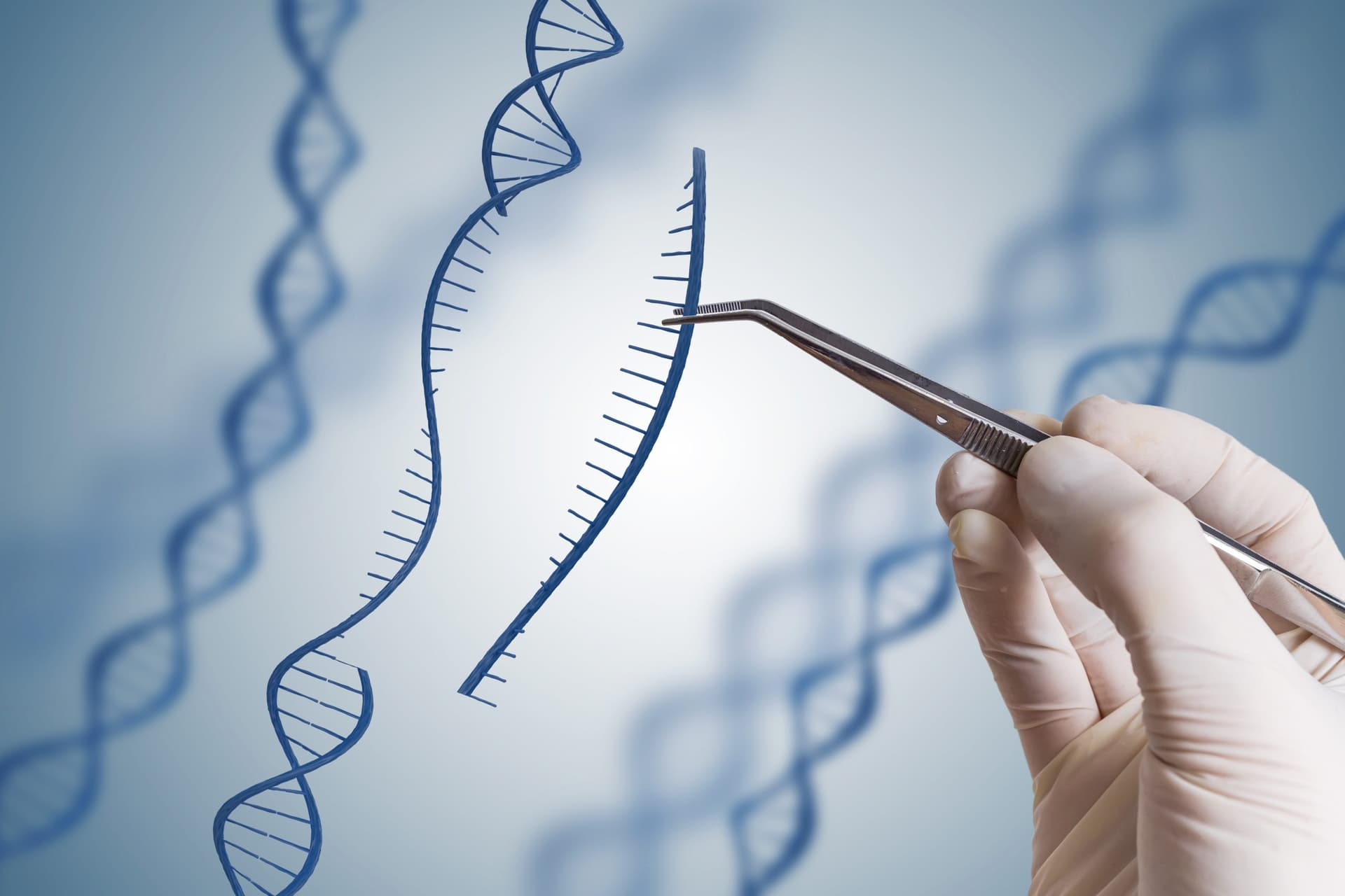 Vertex and NHS England's Breakthrough Gene Therapy for Beta Thalassaemia