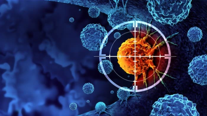 IDEAYA and Hengrui Join Forces for Precision Oncology