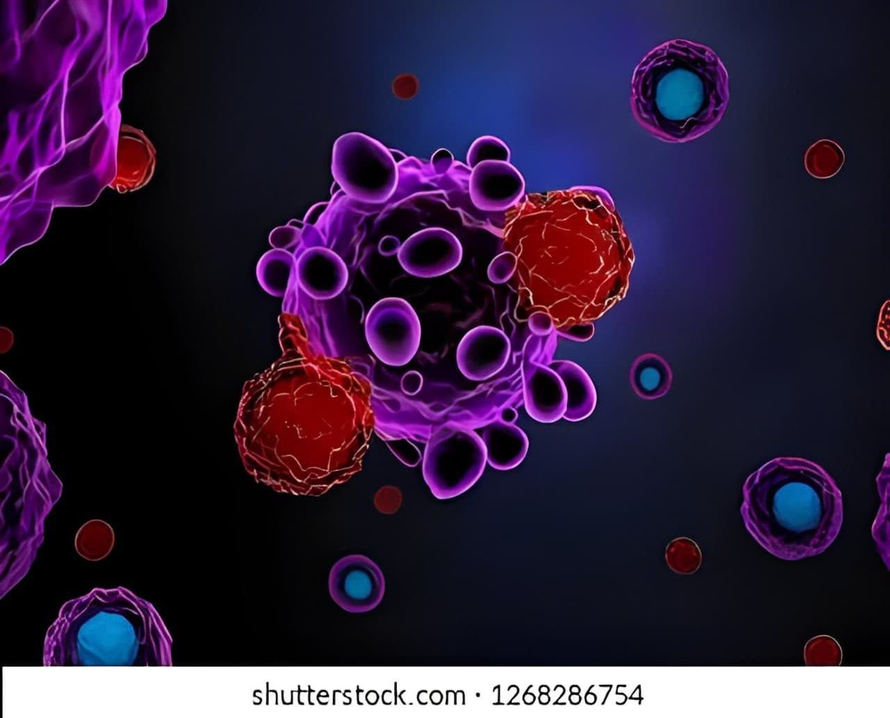 Matica Bio, KaliVir Collaborate on Scalable Cancer Immunotherapy Production