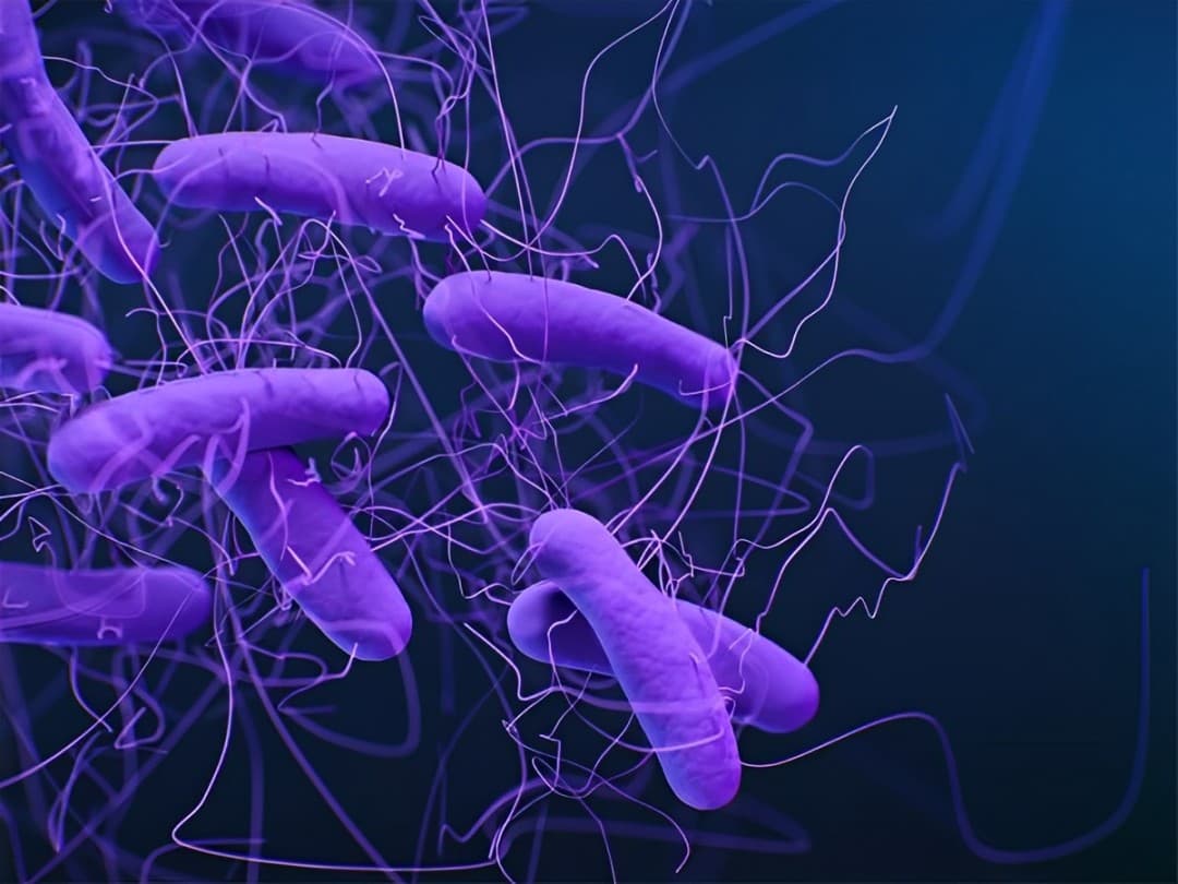 Acurx Reveals Promising New Data on Bile Acids and Gut Health from Phase 2b Trial of Ibezapolstat At IDWeek 2024