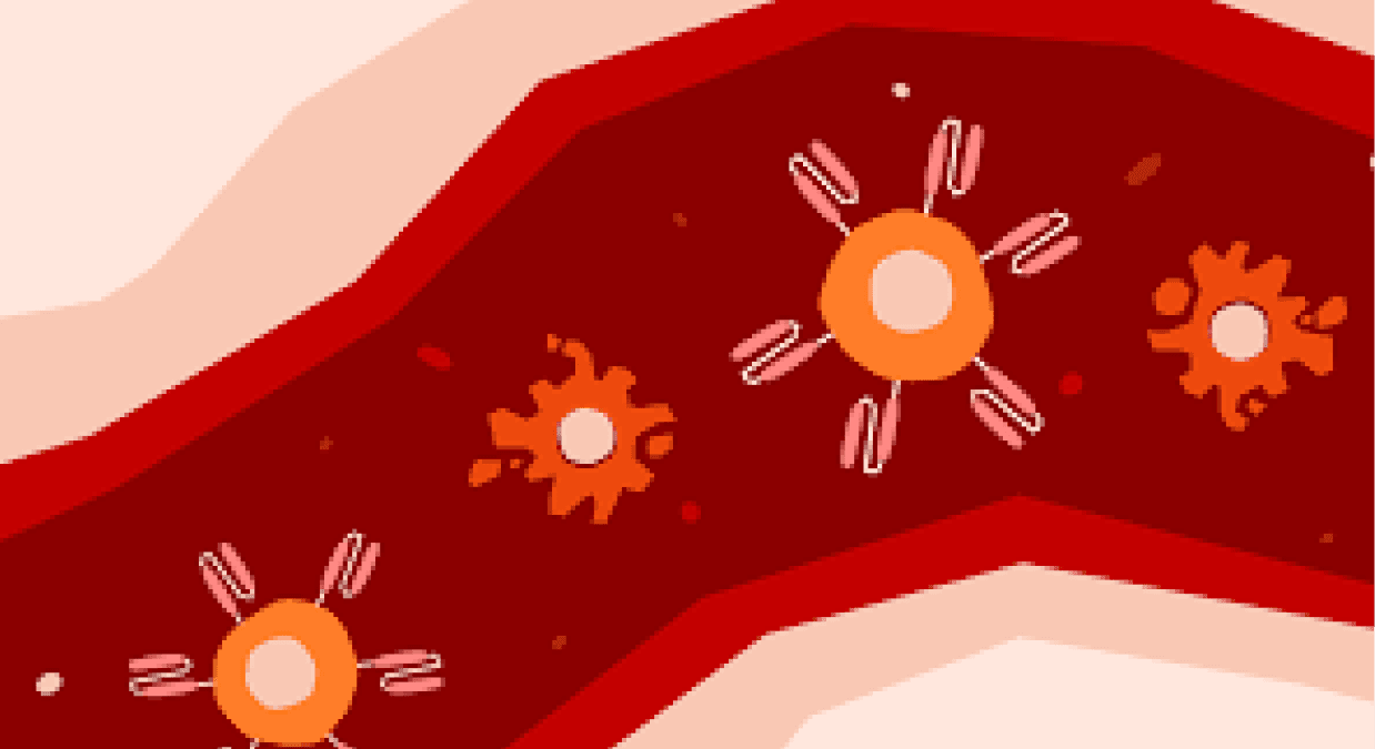 FluidForm Bio Sets New Standard With CHIPS: Bioprinted, Vascularized, Insulin-Producing Tissue Breakthrough