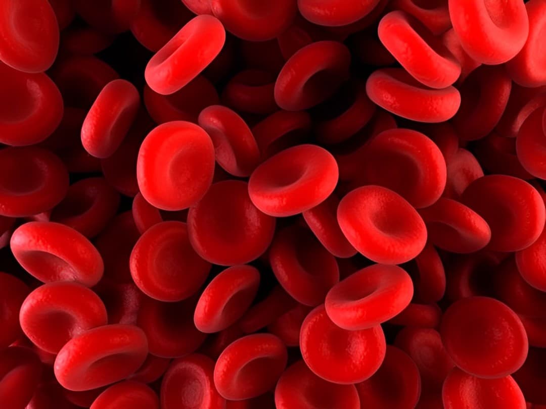 Novo Nordisk’s Alhemo® Nears Approval as First Daily Treatment for Haemophilia with Inhibitors
