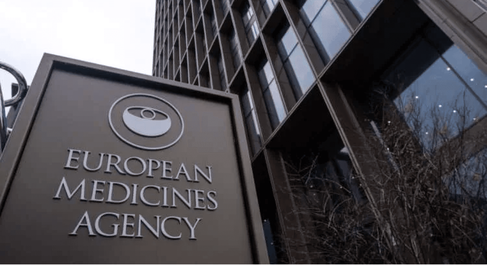 Acadia Submits Trofinetide To European Medicines Agency For Rett Syndrome Treatment