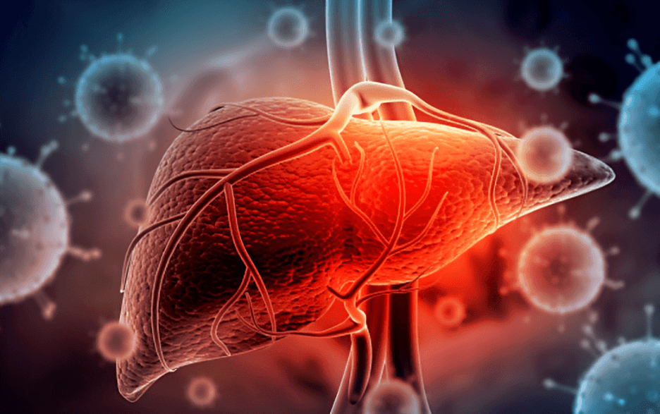 Aligos Therapeutics Receives FDA Approval to Move Forward With ALG-000184