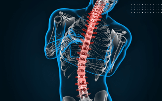 Biohaven’s Taldefgrobep Shows Benefits In Spinal Muscular Atrophy And Advances Towards Obesity Treatment