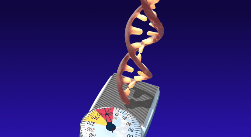Promising Trial Results for Rhythm’s Genetic Obesity Treatment, FDA Decision Awaited