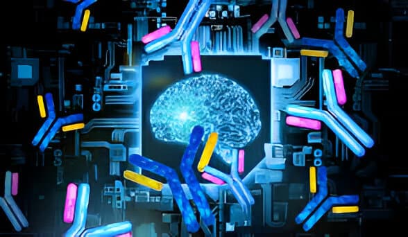 BigHat and Synaffix Collaborate on ADCs