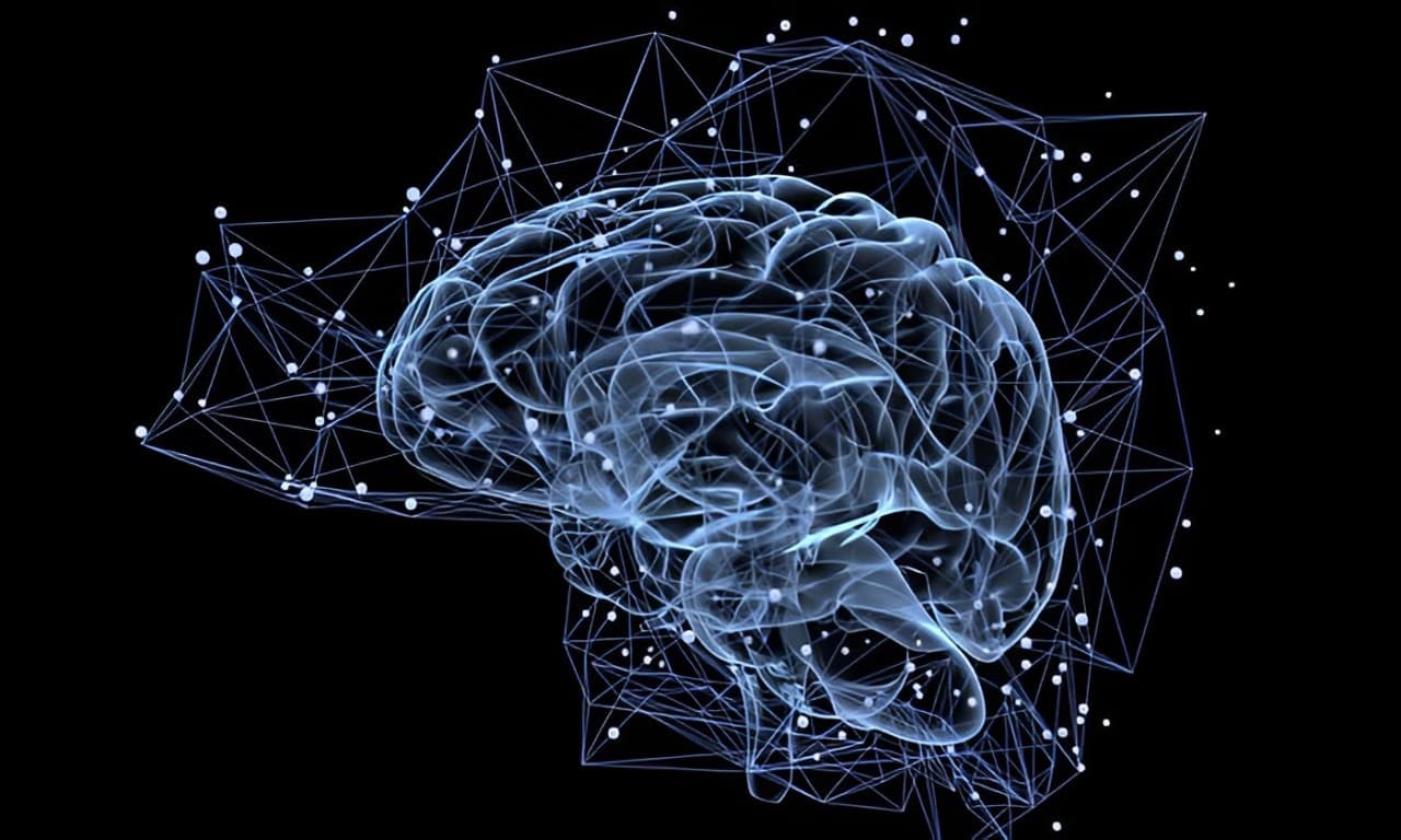 Zeto Partners with Firefly Neuroscience to Enhance EEG Technology with AI Integration