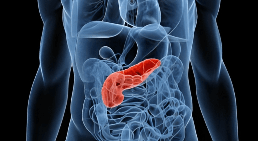 Marker Therapeutics Secures $9.5M CPRIT Grant To Investigate MT-601 In Metastatic Pancreatic Cancer