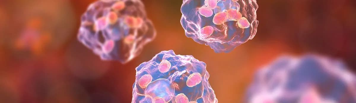 Acepodia Teams With Pfizer Ignite To Push The Boundaries of Chemistry-Based Cell Therapy