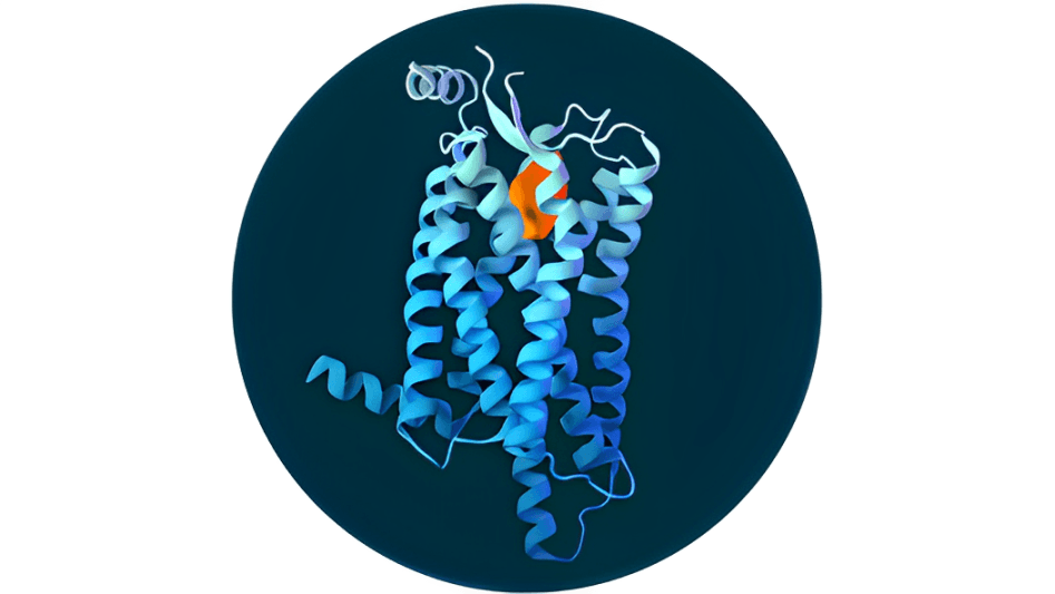 Centessa’s New Drug Shows Promising Results In Tackling Sleep Deprivation