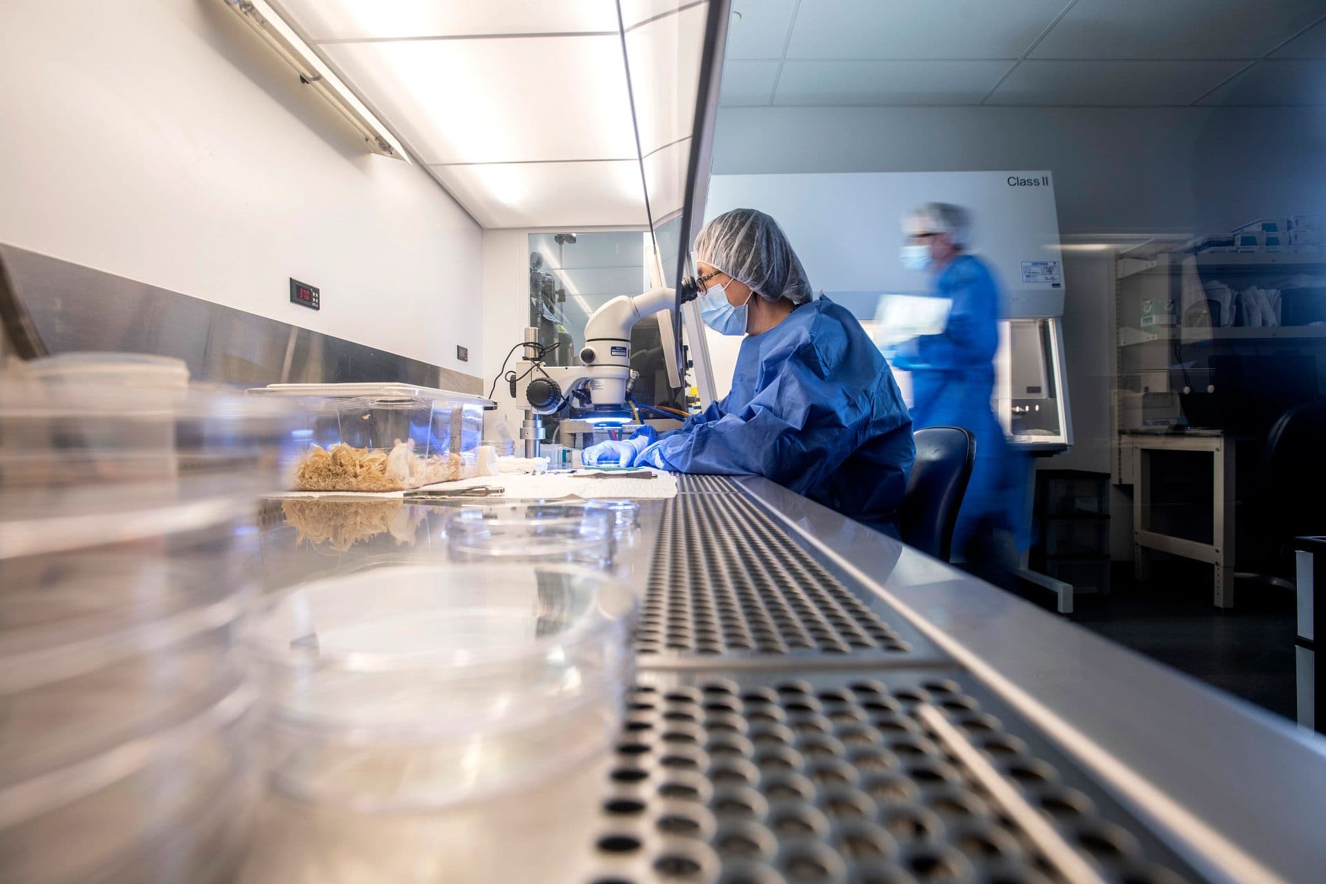 CEBINA Collaborates With Charles River Laboratories To Accelerate Neuroscience Research