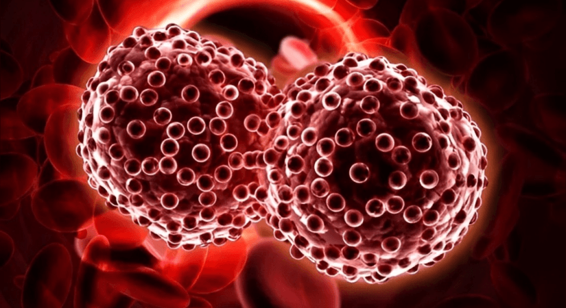 Prelude Reports Positive Data For PRT2527 In Lymphoid Malignancies