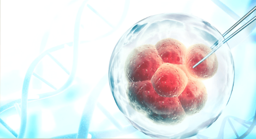 Alloy Therapeutics and Takeda Comes Together To Advance Cell Therapy Innovation