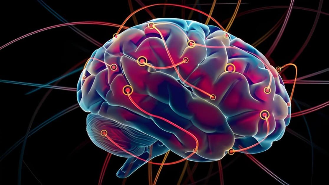 Lipocine's Oral Brexanolone Shows Promising CNS Activity for Neuropsychiatric Disorders