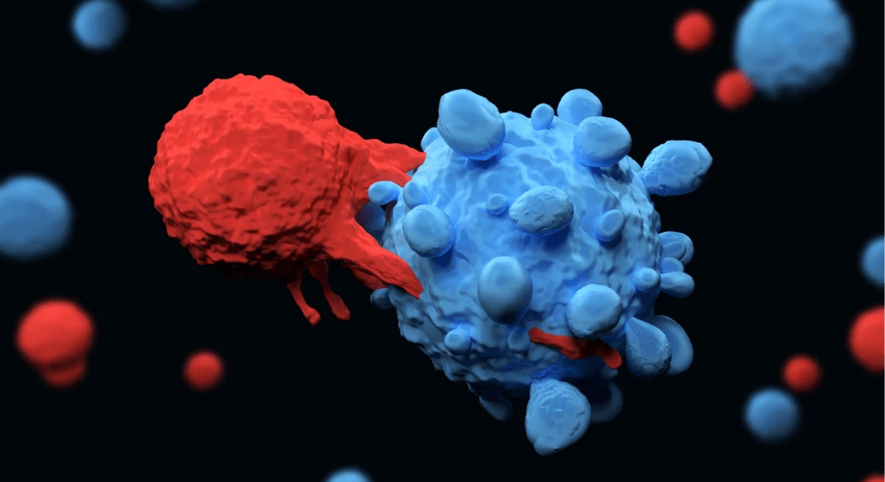 HCW Biologics Reports Positive Study Results For HCW9206 And Opens Door To Commercial Sales