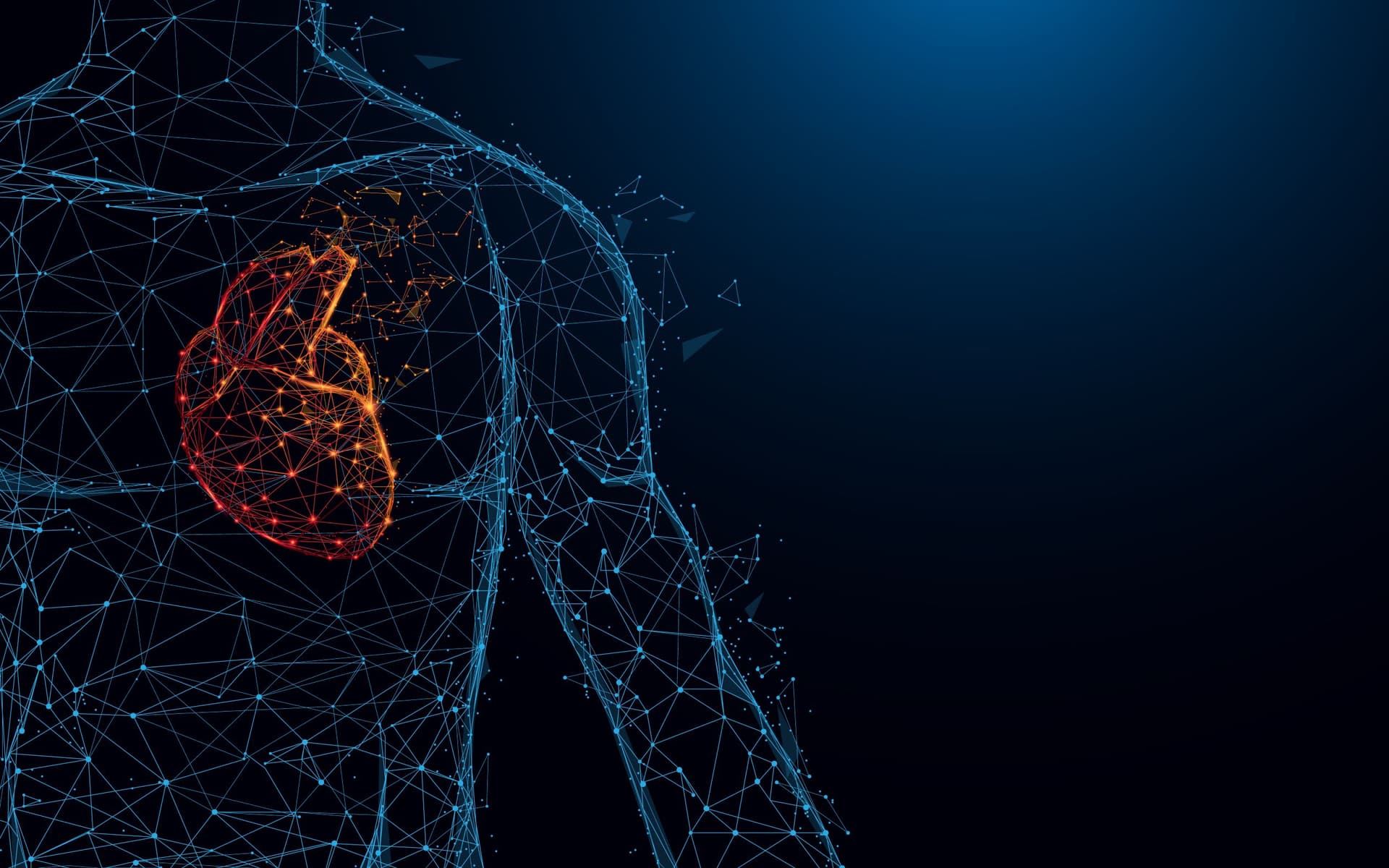 iCardio.ai Joins Forces with SARC MedIQ to Enhance Cardiovascular Imaging Through AI Technology