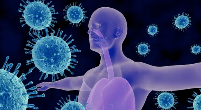 Indaptus’s Decoy20 Platform Targets Cancer via Dual Immune Activation Approach