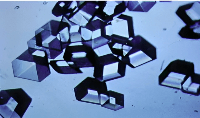 Redwire and Eli Lilly Advance Drug Discovery with Space-Grown Insulin Crystals