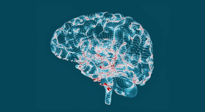 Genentech’s Prasinezumab Shows Potential In Early-Stage Parkinson’s Treatment In Phase IIb Trial