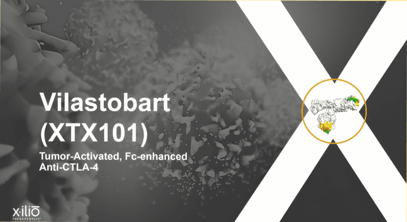 Xilio To Present Vilastobart Data In MSS CRC At ASCO GI Symposium