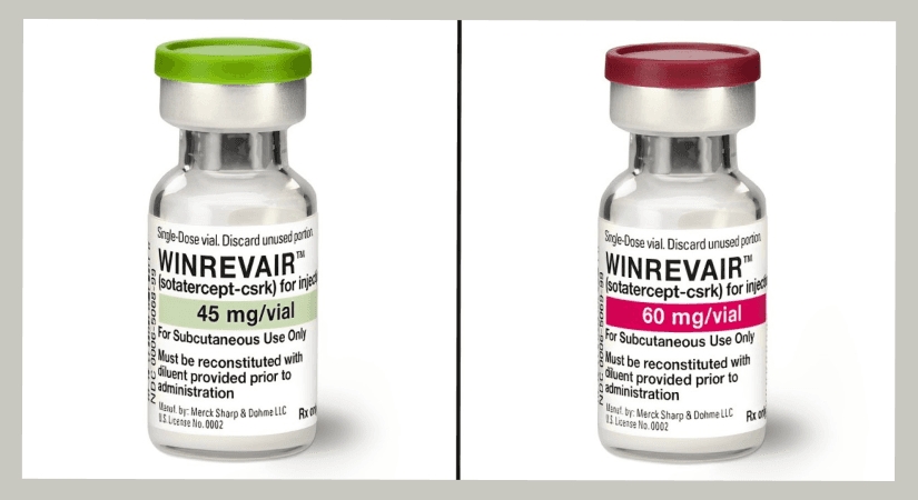 Merck’s WINREVAIR Trial Shows Promising Outcomes For Treating PAH Patients
