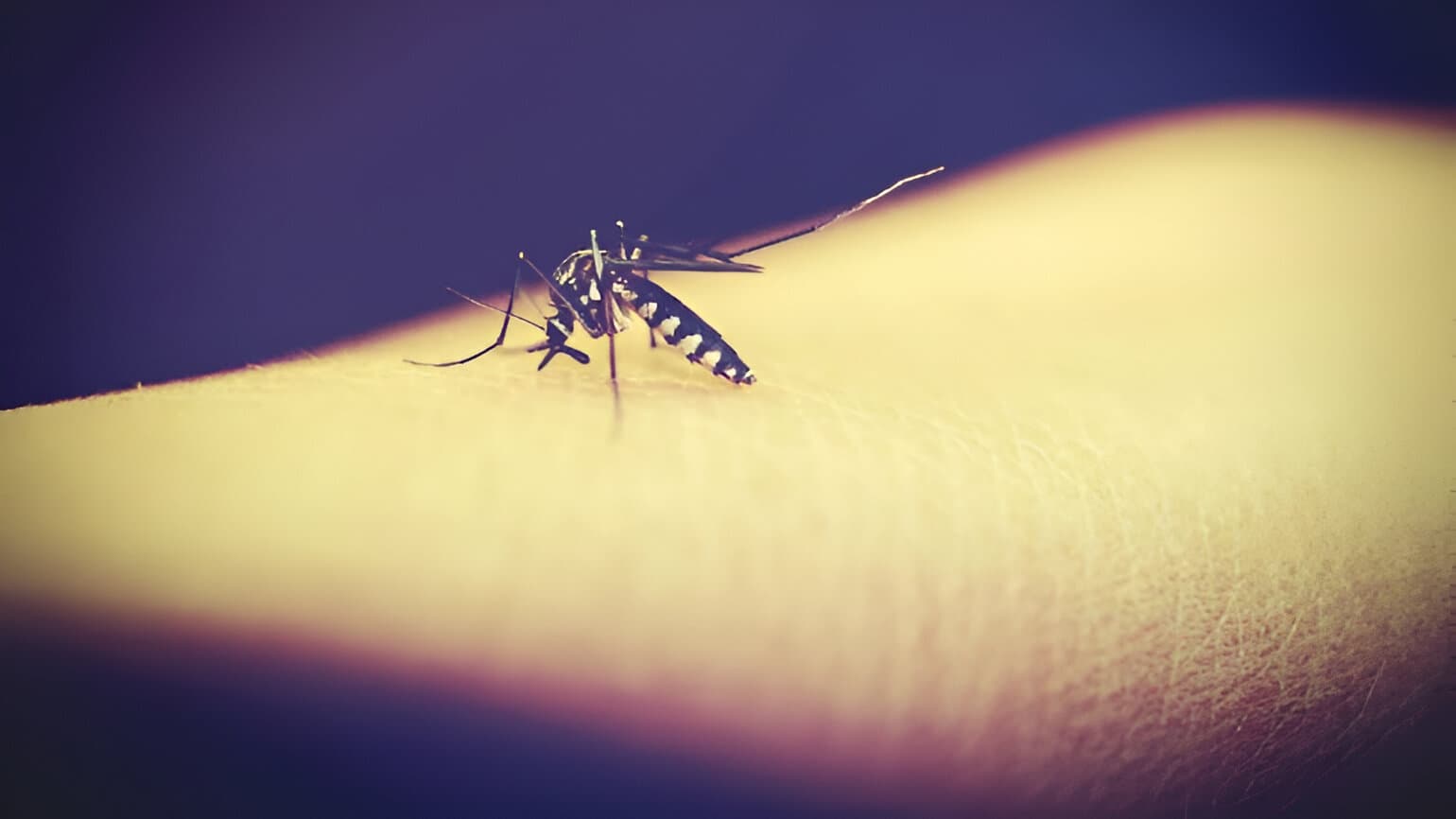 Milestone in Malaria Fight: First Volunteers Receive Long-Acting Injectable for Prevention