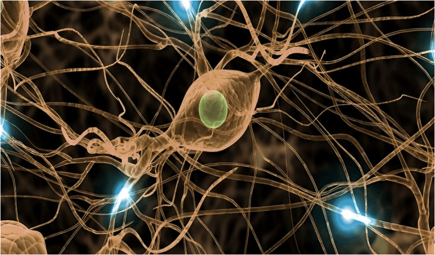 FDA Approves Kebilidi Gene Therapy for Rare AADC Deficiency, Targeting Improved Motor Function