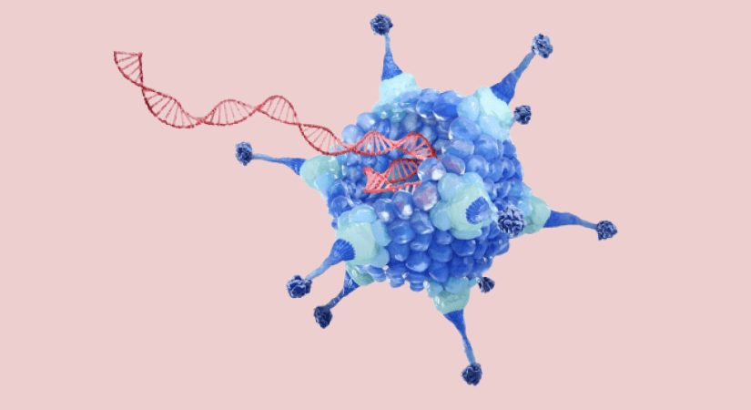 Novartis Acquires Kate Therapeutics for Gene Therapy