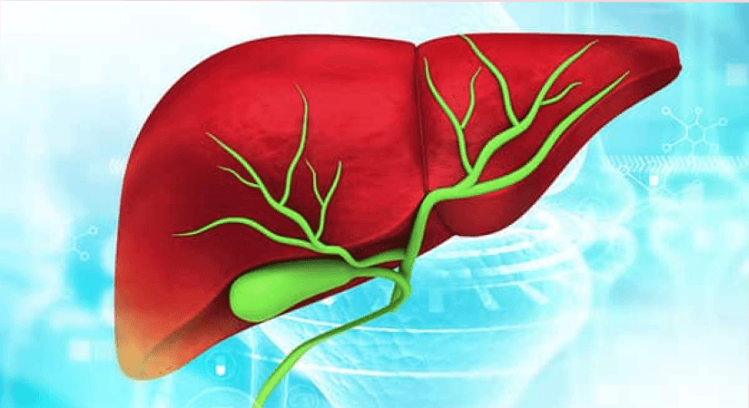 Ziihera Approved By U.S. FDA For Treating HER2-Positive Biliary Tract Cancer