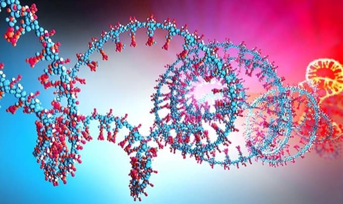 Altamira Advances Circular RNA Delivery Technology