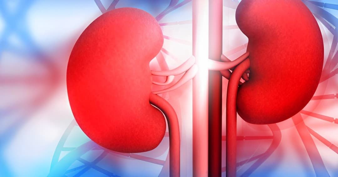 Novo Nordisk Highlights Ozempic® Benefits For Chronic Kidney Disease Patients