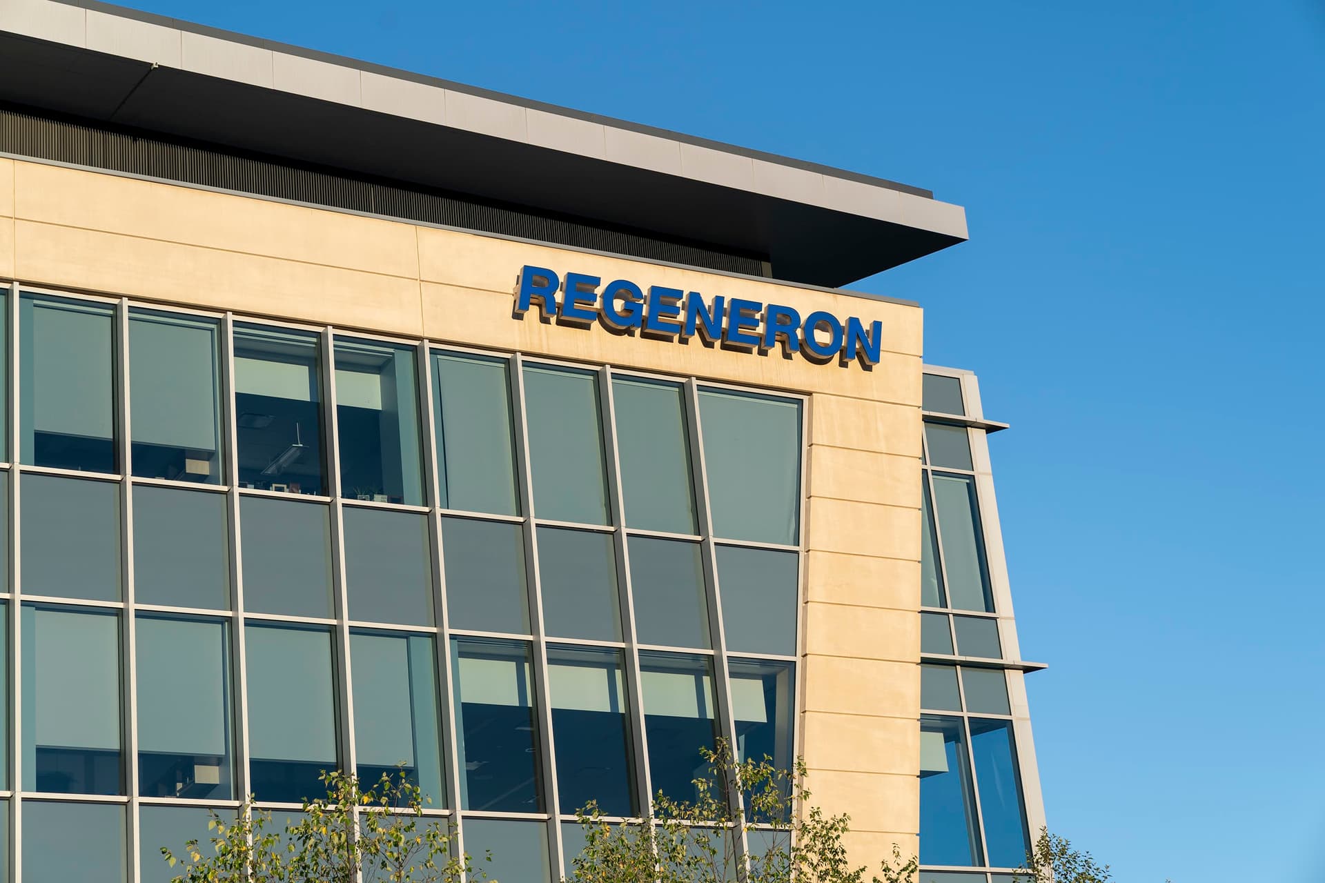 Regeneron Secures FDA Approval For Lynozyfic In Heavily Pretreated Myeloma Patients