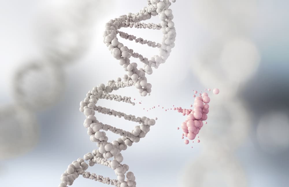 Rocket Pharmaceuticals Secures RMAT Designation For RP-A601 Gene Therapy In Genetic Cardiomyopathy
