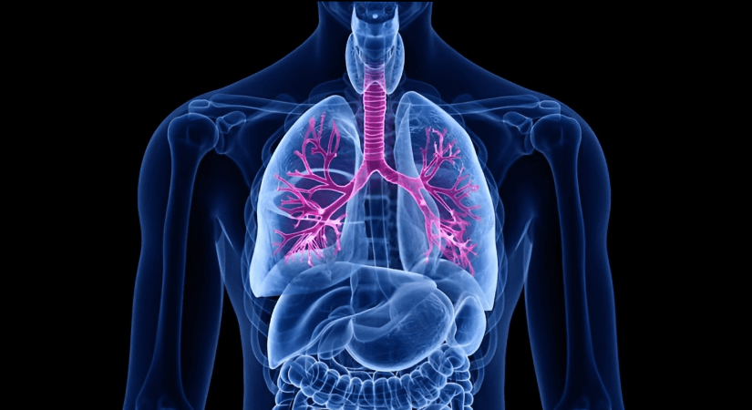 Merck’s KEYTRUDA Gains Approval For Stage Non-Small Cell Lung Cancer In China